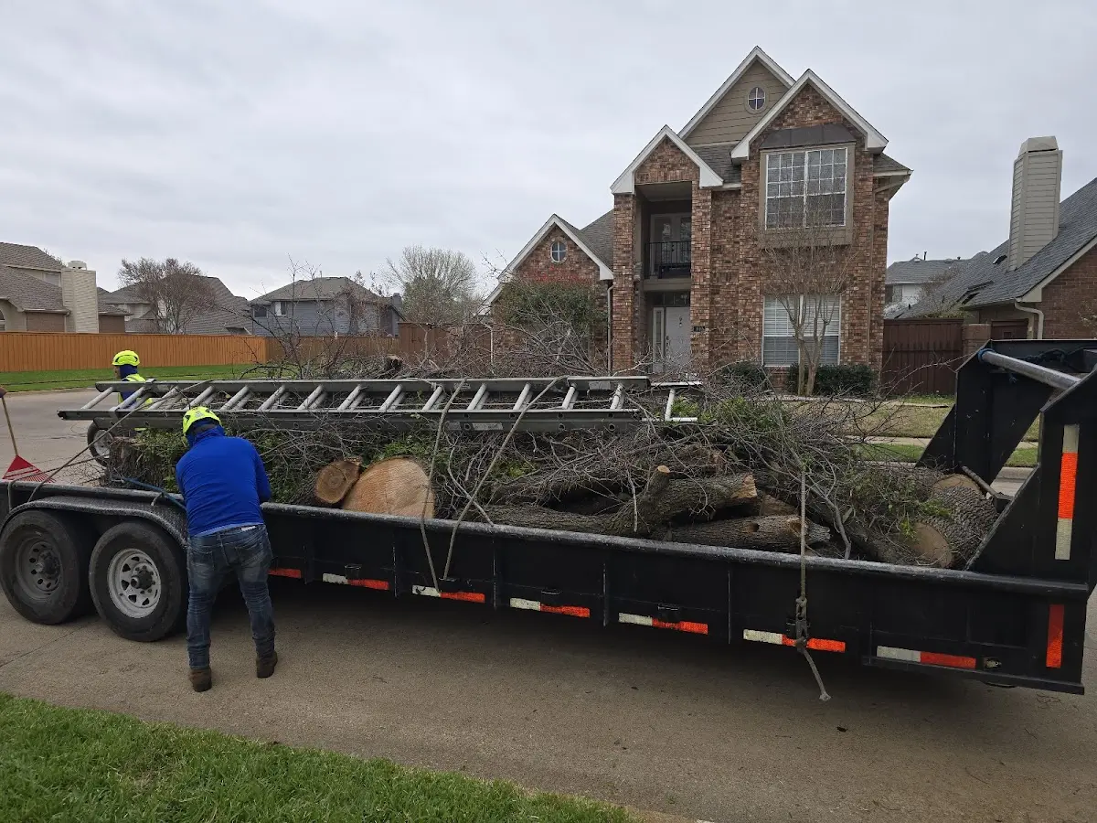 Expert Tree Fertilization with proper safety equipment in New Harmony